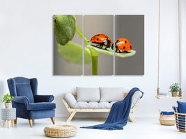 3-piece-canvas-print-2-ladybirds