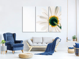 3-piece-canvas-print-a-daisy