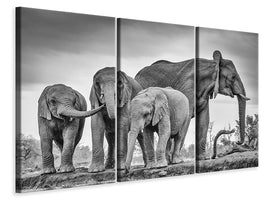 3-piece-canvas-print-a-giant-unity