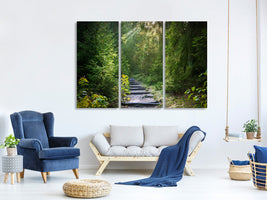 3-piece-canvas-print-a-path-between-firs