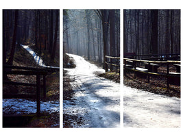 3-piece-canvas-print-a-path-in-the-snow