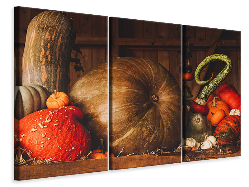 3-piece-canvas-print-a-still-life