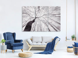 3-piece-canvas-print-a-view-of-the-tree-crown