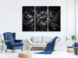 3-piece-canvas-print-acorralados