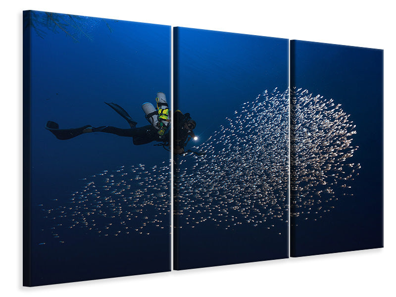 3-piece-canvas-print-alvin-shoal