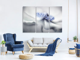 3-piece-canvas-print-anemone-spirit