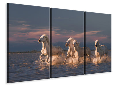 3-piece-canvas-print-angels-of-camargue