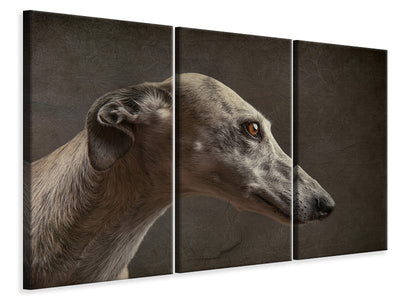 3-piece-canvas-print-anna