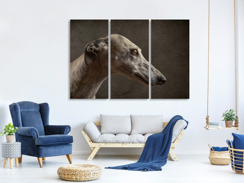 3-piece-canvas-print-anna