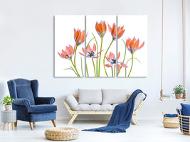 3-piece-canvas-print-apricot-tulips