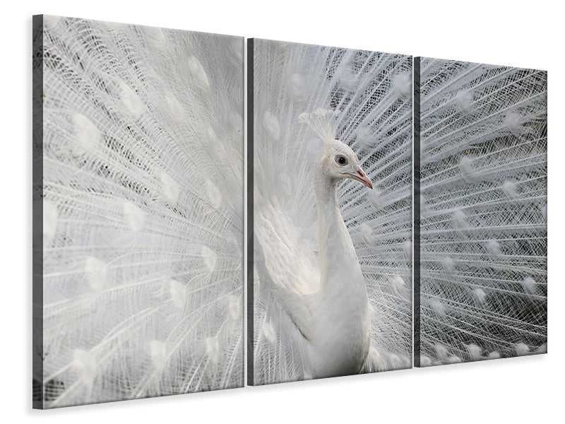 3-piece-canvas-print-as-white-as-snow