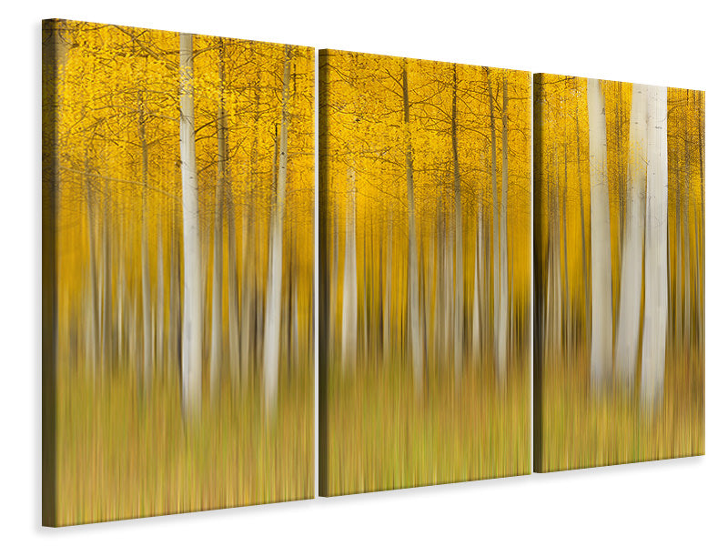 3-piece-canvas-print-autumn-dream-ii