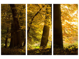 3-piece-canvas-print-autumn-leaves