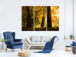 3-piece-canvas-print-autumn-leaves