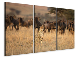 3-piece-canvas-print-aware