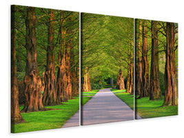 3-piece-canvas-print-beautiful-avenue-in-nature