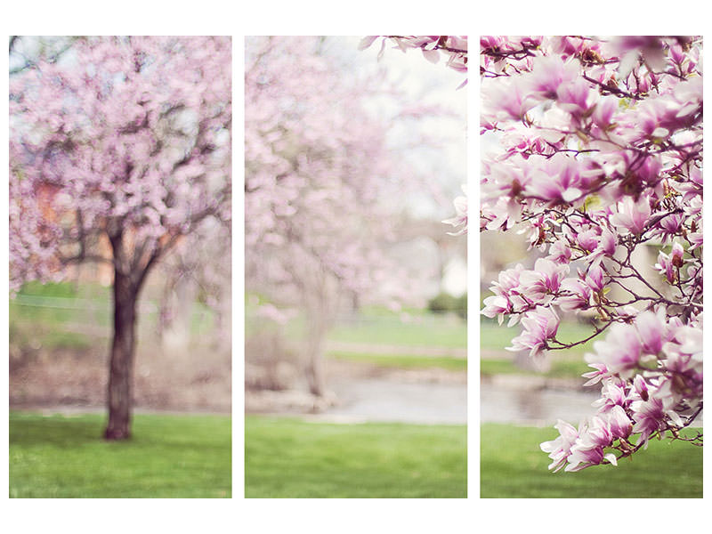 3-piece-canvas-print-beautiful-magnolias