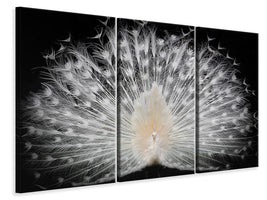 3-piece-canvas-print-black-and-white-v