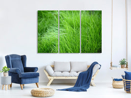 3-piece-canvas-print-blades-of-grass