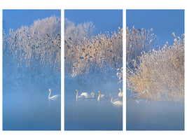 3-piece-canvas-print-blue-swan-lake