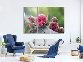 3-piece-canvas-print-bush-roses