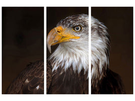 3-piece-canvas-print-caged-eagle