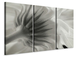 3-piece-canvas-print-calendula