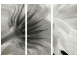 3-piece-canvas-print-calendula