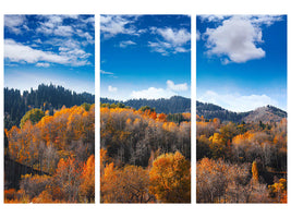 3-piece-canvas-print-clouds-gather