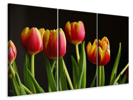 3-piece-canvas-print-colorful-tulips