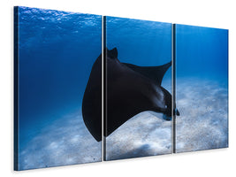 3-piece-canvas-print-dancing-manta