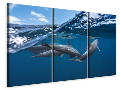 3-piece-canvas-print-dolphins