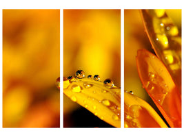 3-piece-canvas-print-drops-close-up