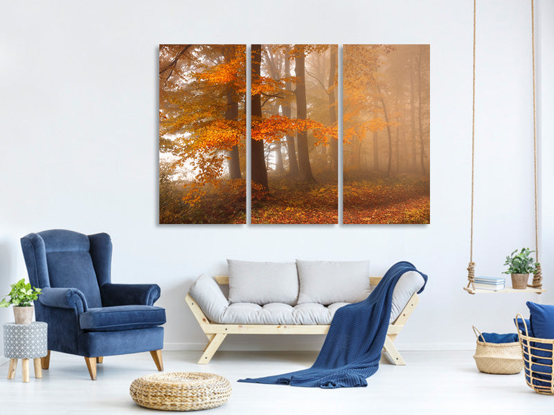 3-piece-canvas-print-edge-of-the-woods