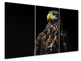 3-piece-canvas-print-ego