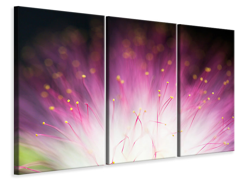 3-piece-canvas-print-elfin