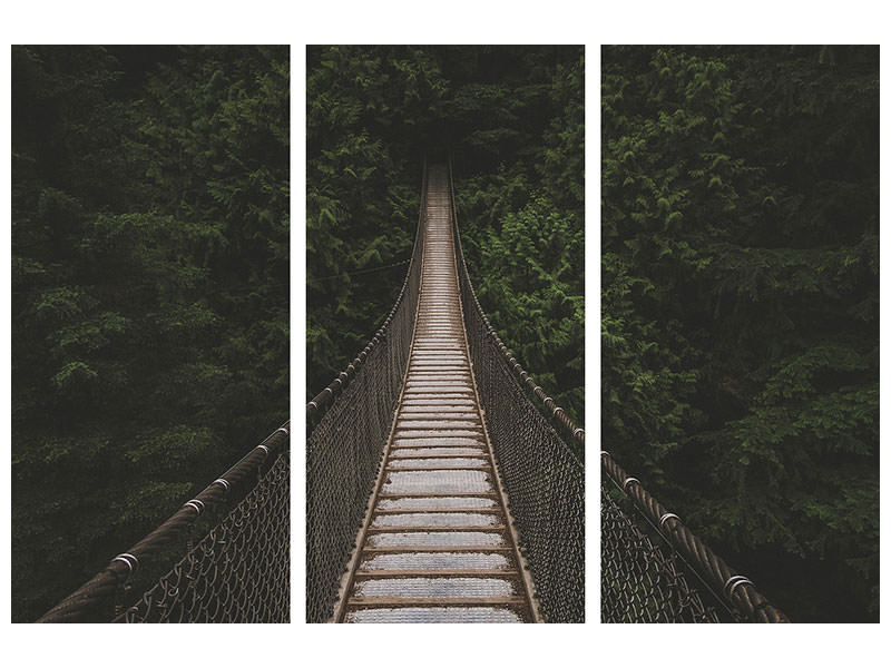 3-piece-canvas-print-exciting-bridge