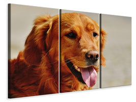 3-piece-canvas-print-faithful-soul