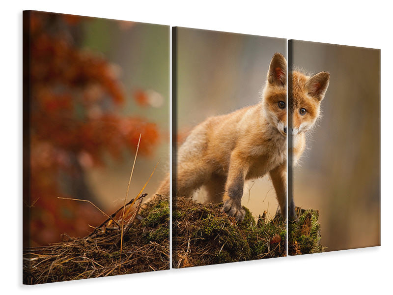 3-piece-canvas-print-fox