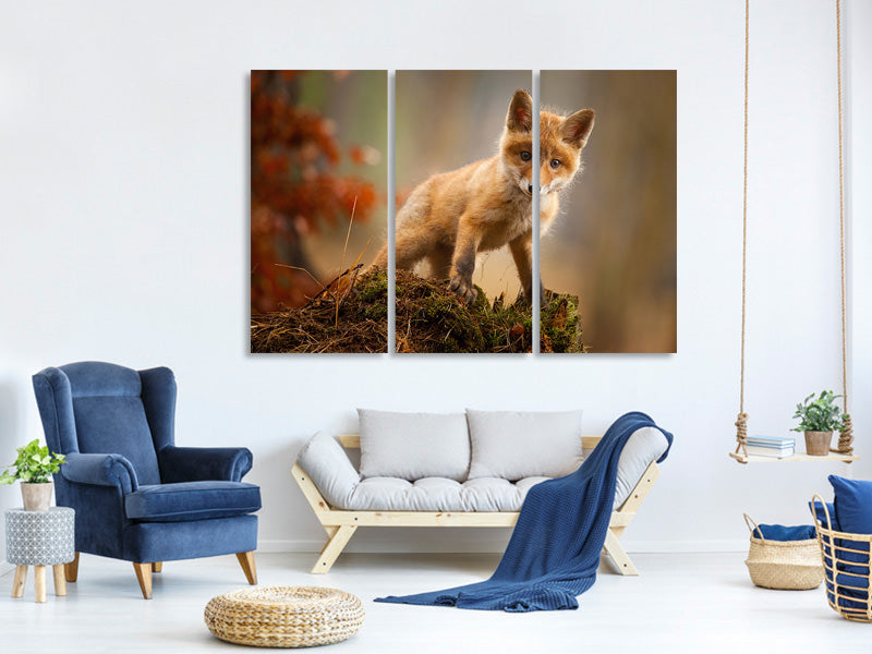 3-piece-canvas-print-fox