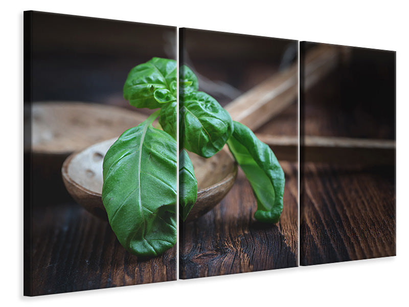 3-piece-canvas-print-fresh-basil-xl