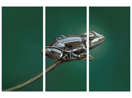 3-piece-canvas-print-frog