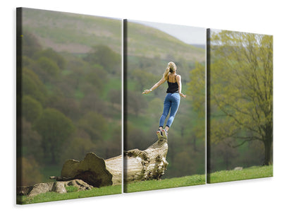 3-piece-canvas-print-genuine-nature-experience