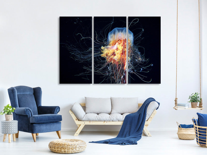 3-piece-canvas-print-giant-lions-mane