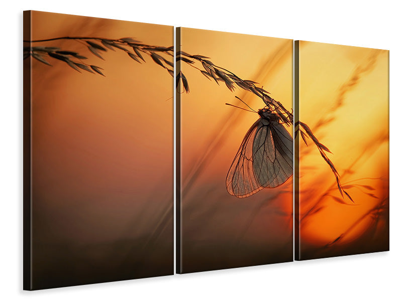 3-piece-canvas-print-good-night