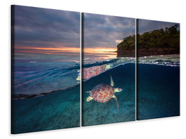 3-piece-canvas-print-green-turtle-with-sunset