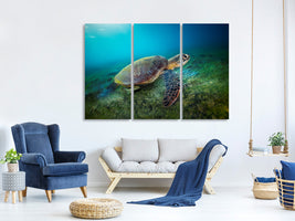 3-piece-canvas-print-green-turtle