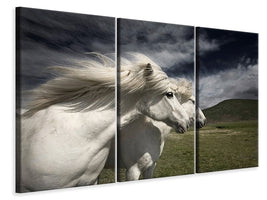 3-piece-canvas-print-interplay