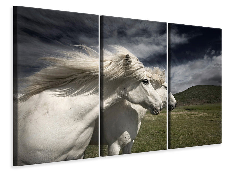 3-piece-canvas-print-interplay