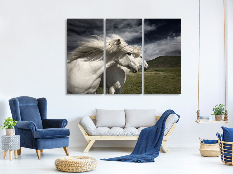 3-piece-canvas-print-interplay